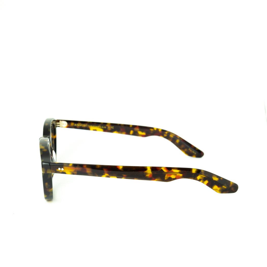 dahven tort 47 24_3 Moscot DAHVEN TORTOISE