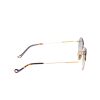gobi c.4-m-25 49 21_3 Eyepetizer GOBI C.4-M-25