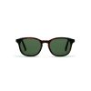 5484-FEZ EXPLORER-HAVANA MACULATO-39-GREEN G15 GRADIENT-1 L.G.R Fez Explorer
